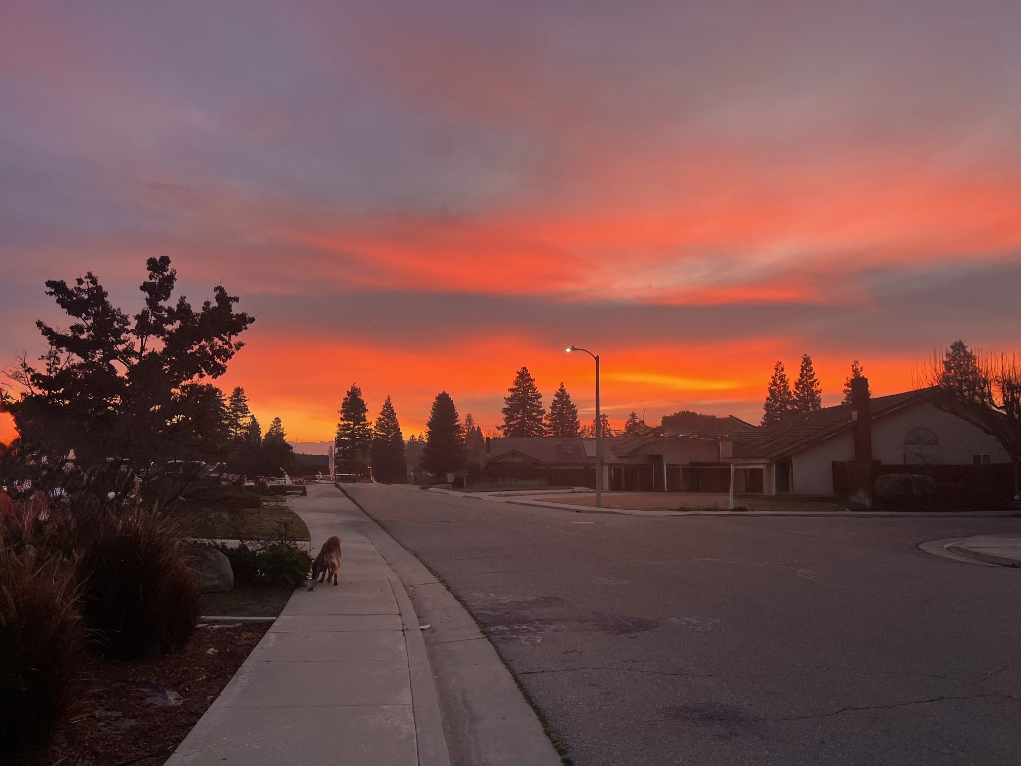 Visalia Sunrise